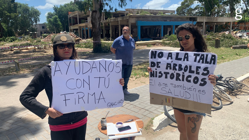 Notas | Sociedad | Vecinos protestan por la tala de árboles históricos ...