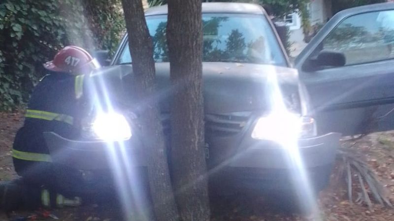 Notas | Policiales | Perdió el control de su auto y chocó contra un ...