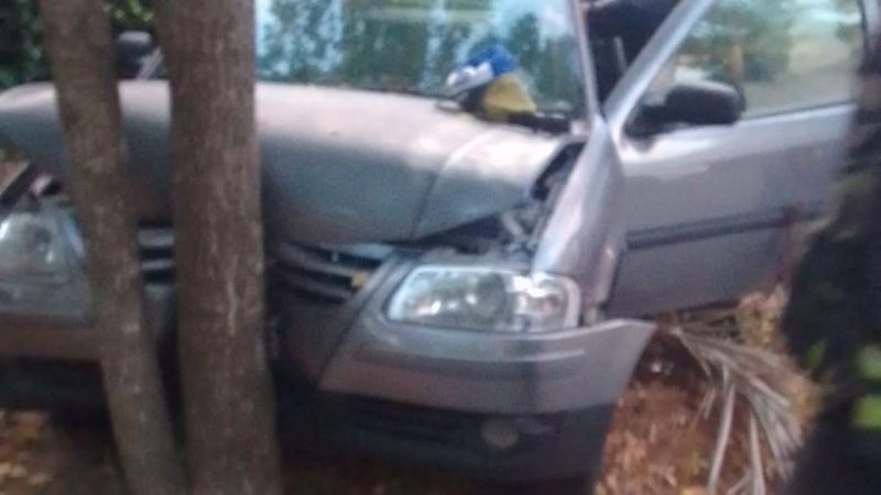 Notas | Policiales | Perdió el control de su auto y chocó contra un ...