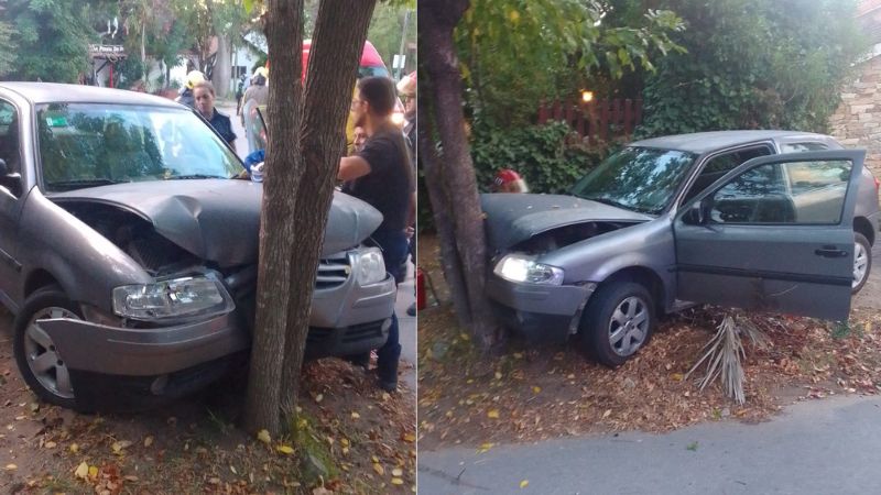 Notas | Policiales | Perdió el control de su auto y chocó contra un ...